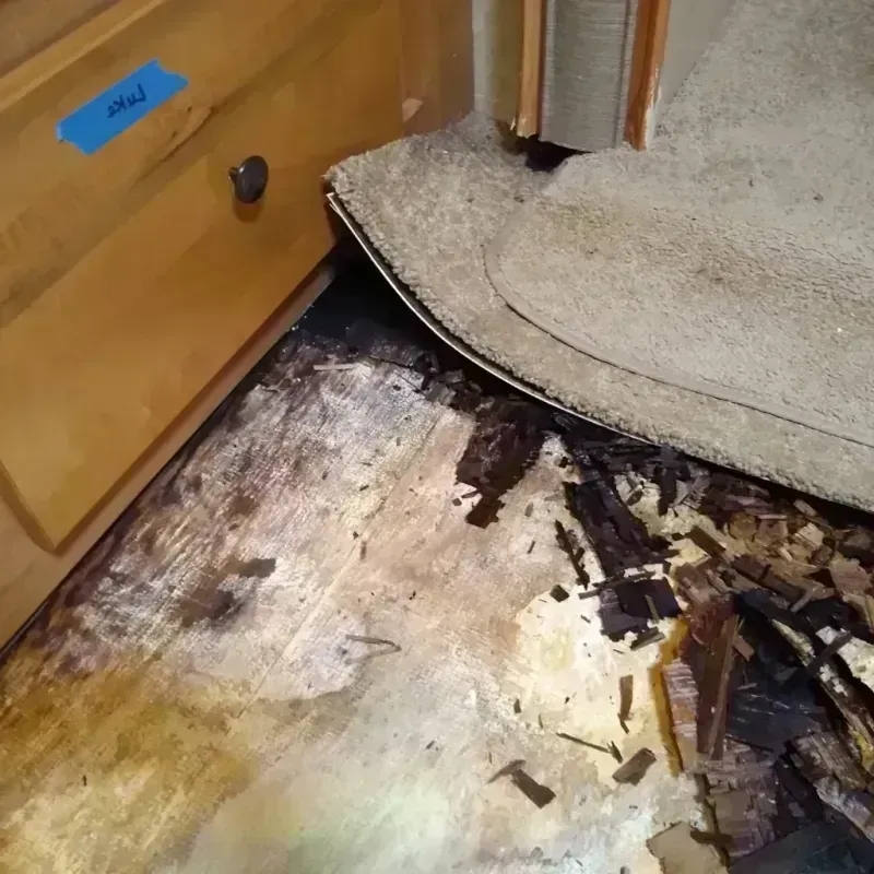 Wood Floor Water Damage in Bessemer City, NC